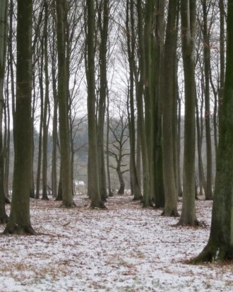 Skov og landbrug